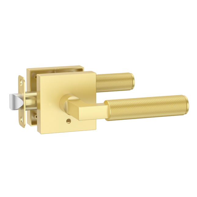DESIGNZR01 Brushed Gold Door Handles