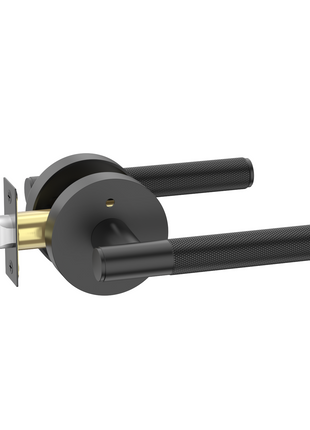 DESIGNZR02 Matte Black Door Handles