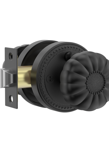 DESIGNZR12 Matte Black Door Knobs