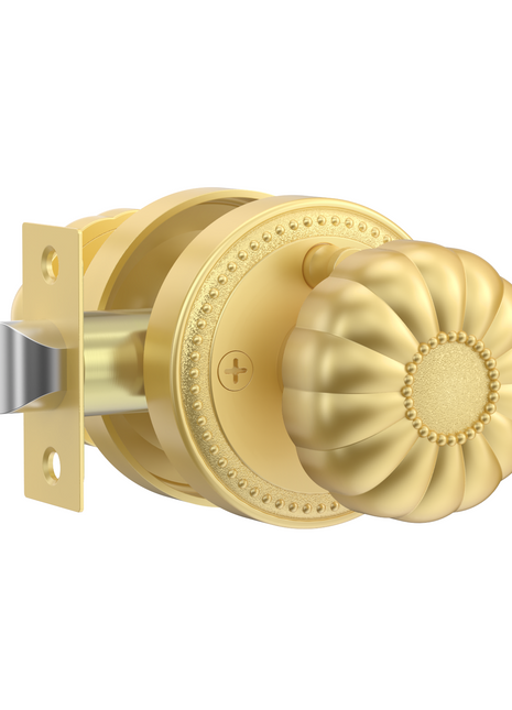DESIGNZR12 Brushed Gold Knobs