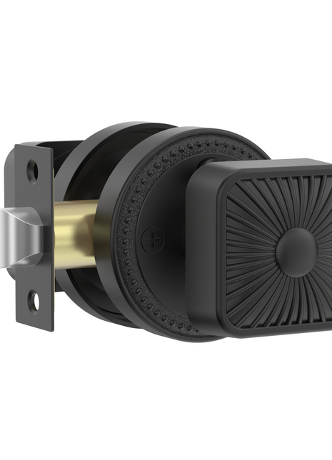 DESIGNZR12 Matte Black Knobs
