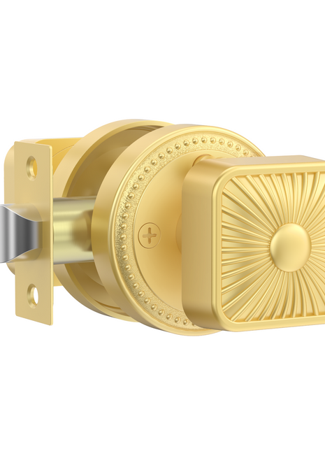 DESIGNZR12 Brushed Gold Knobs