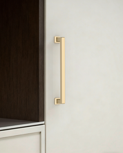 3818-Modern-Cabinet-with-brushed-brass-cabinet-handles