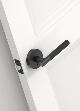 DESIGNZR02 Matte Black Door Handles