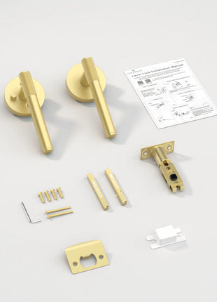 DESIGNZR02 Brushed Gold Door Handles
