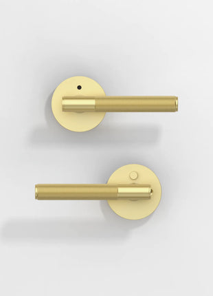 DESIGNZR02 Brushed Gold Door Handles