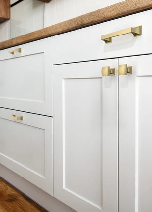 DESIGN2461 Gold Solid Handles