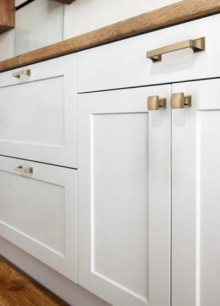 DESIGN2461 Champagne Bronze Solid Handles